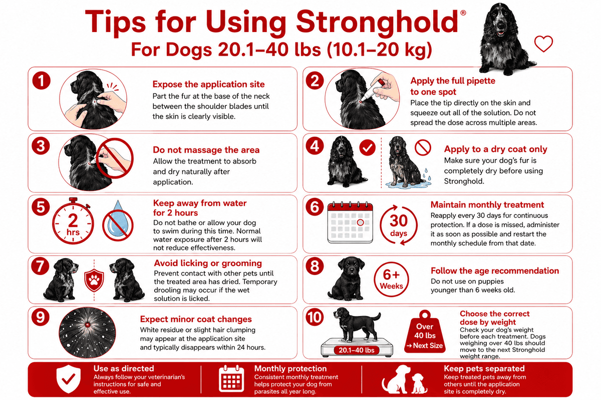 tips for using stronghold for dogs 20.1-40 lbs