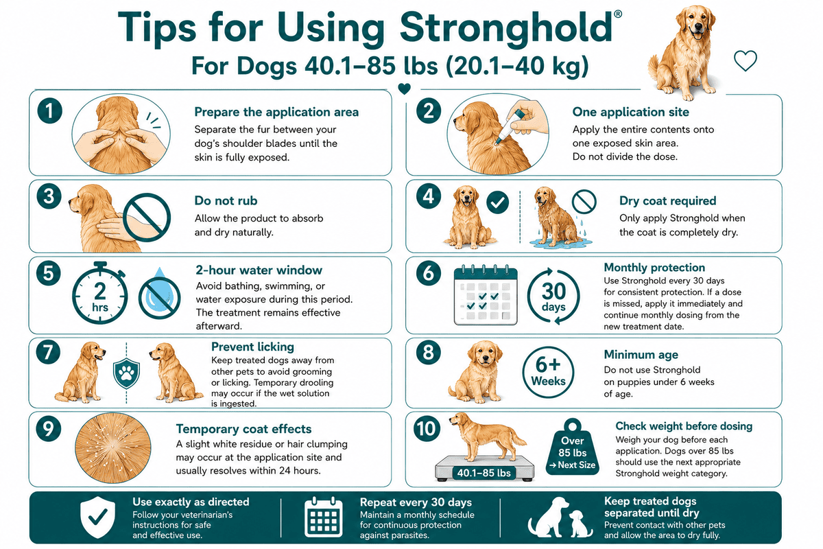 tips for using stronghold for dogs 40.1-85 lbs