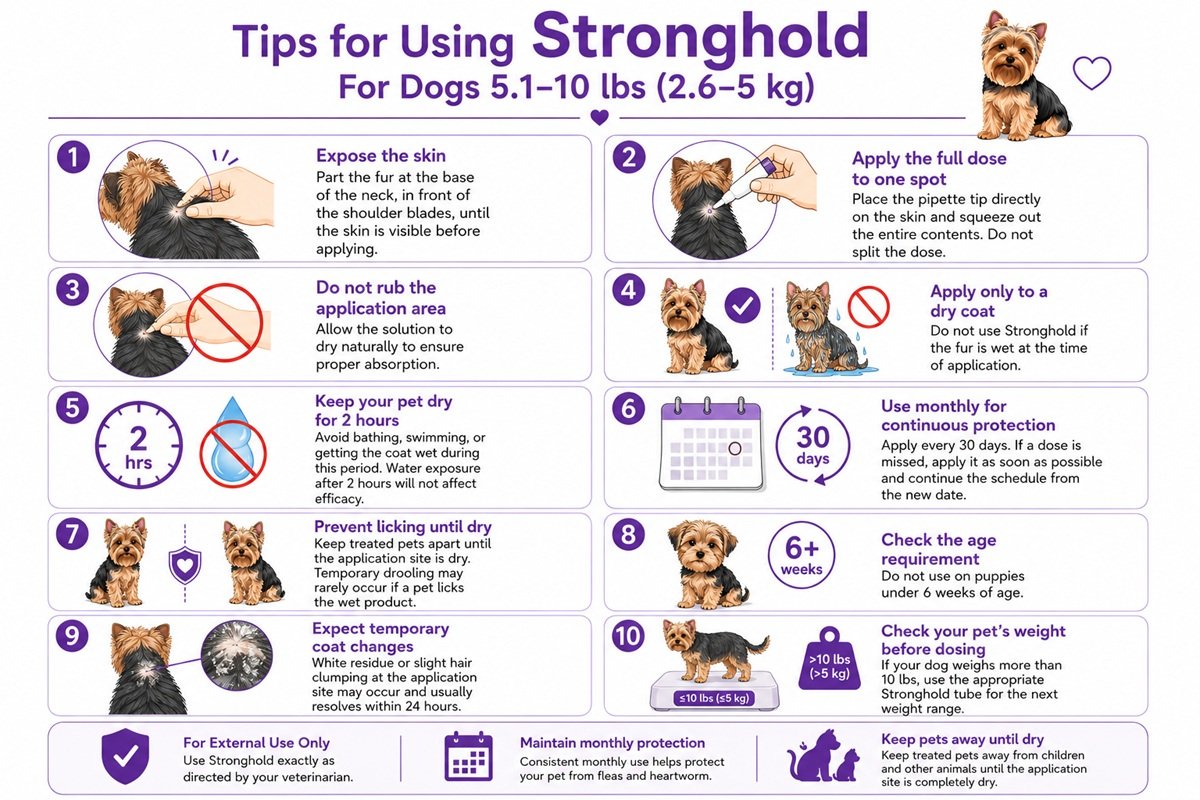 Useful tips for Stronghold For Dogs 5.1-10 lbs