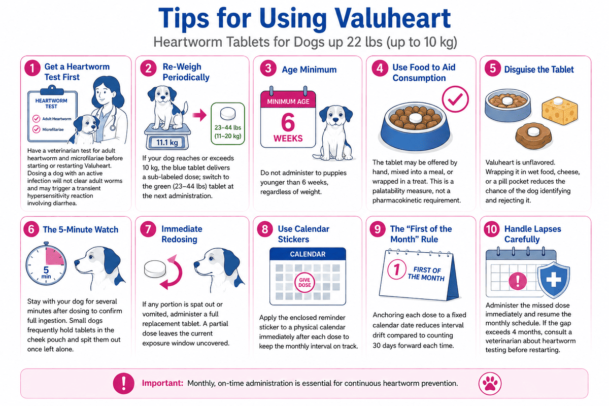 tips for using valuheart heartworm tablets for dogs 22 lbs