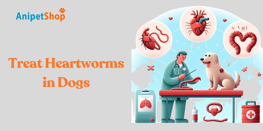 Treat Heartworms in Dogs