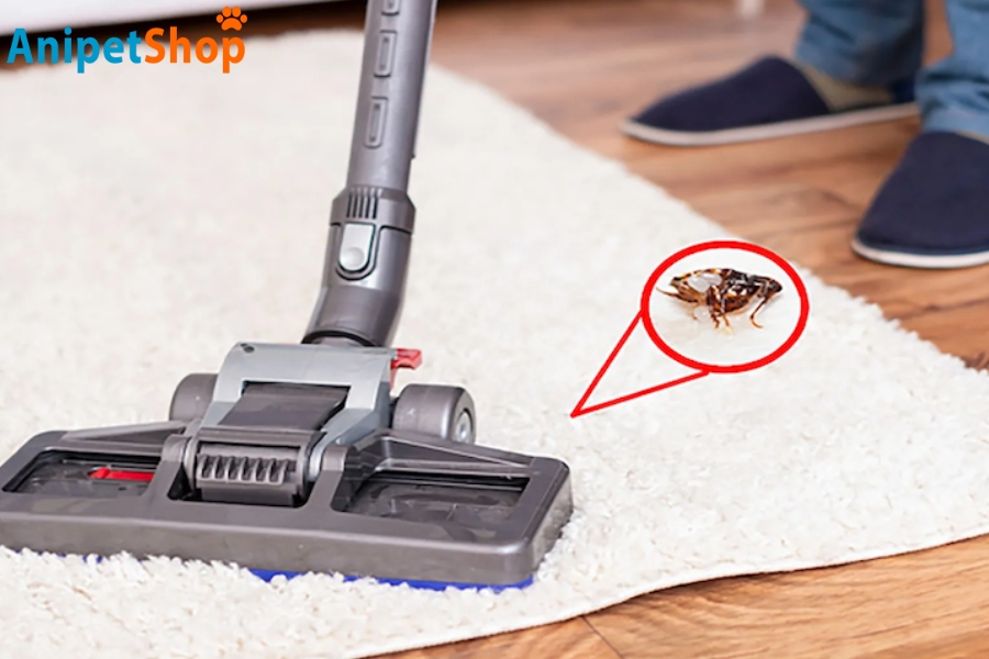 Image about vacuuming rugs