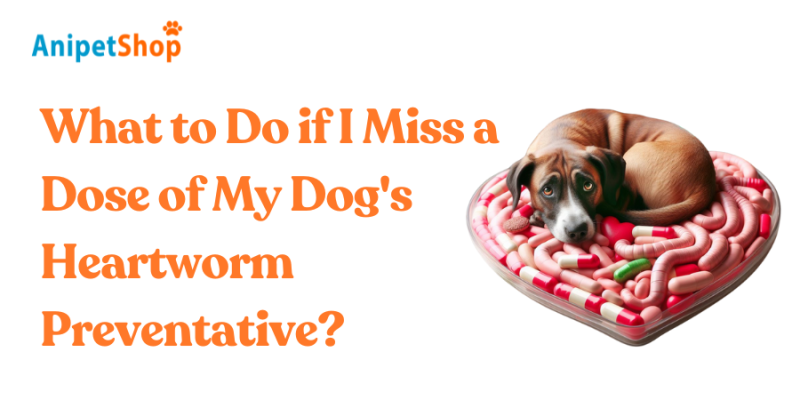 What to Do if I Miss a Dose of My Dog's Heartworm Preventative?