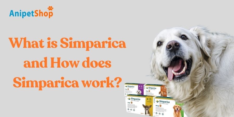How does Simparica work