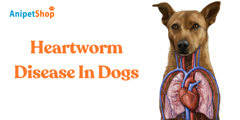 Heartworm Disease In Dogs