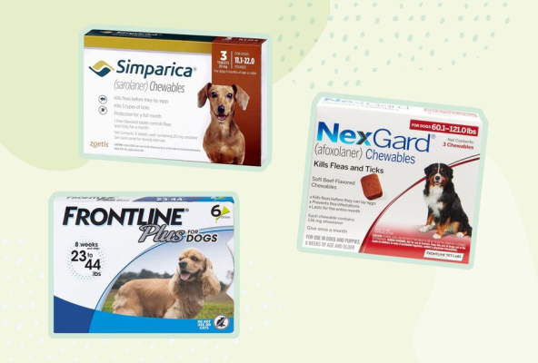 How does Simparica differ from other flea and tick medications?