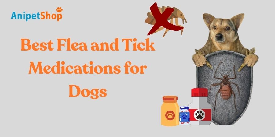 Best Flea and Tick Medications for Dogs