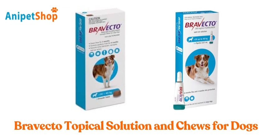 Bravecto for Dogs