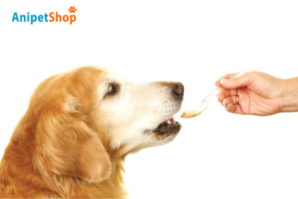 Choosing the best product for your dogs