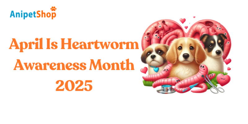 Heartworm Awareness Month