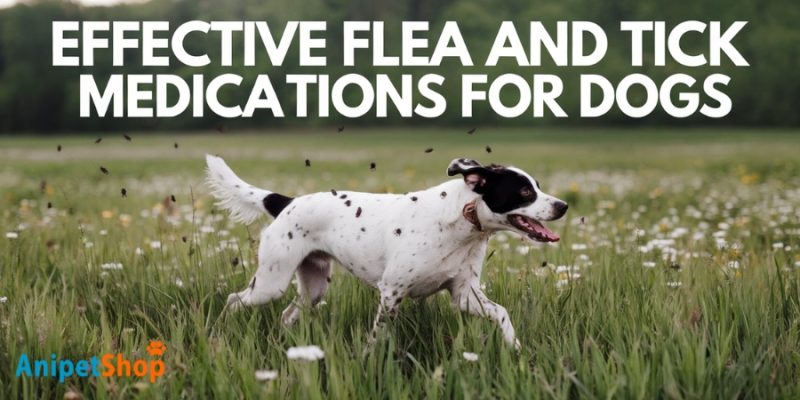 most effective flea medicine for dogs