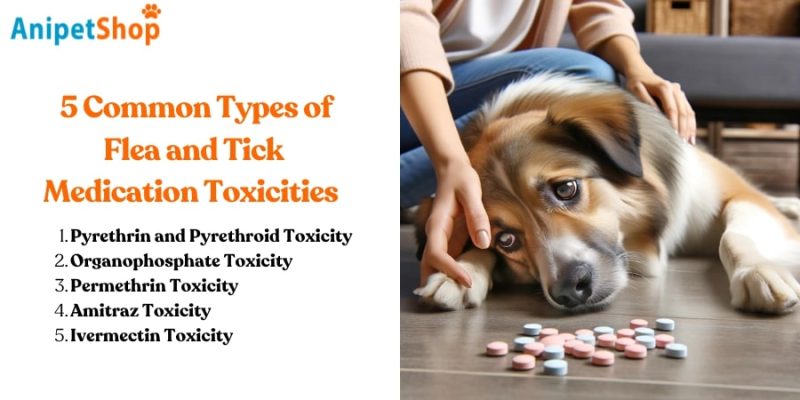 5 Common Types of Flea and Tick Medication Toxicities