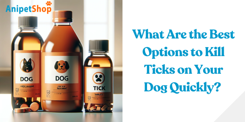 Best Options to Kill Ticks on Dog