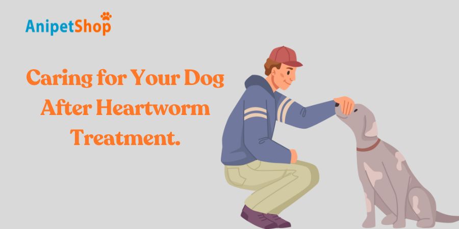 Caring for Your Dog During Heartworm Treatment: A Guide to Recovery