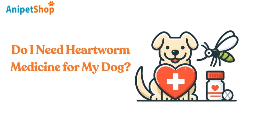 Do I Need Heartworm Medicine for My Dog?