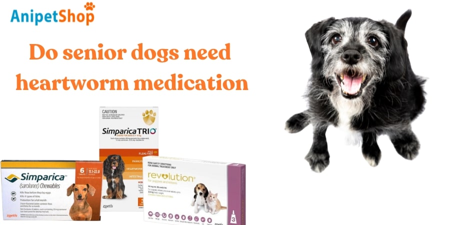 Do senior dogs need heartworm medication?