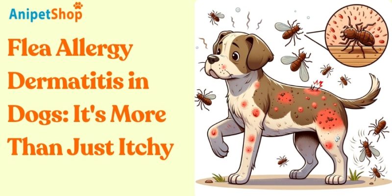 Flea Allergy Dermatitis in Dogs