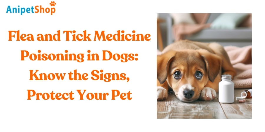 Flea and Tick Medicine Poisoning in Dogs: Common Types, Symptoms, Causes, Diagnosis and Treatment