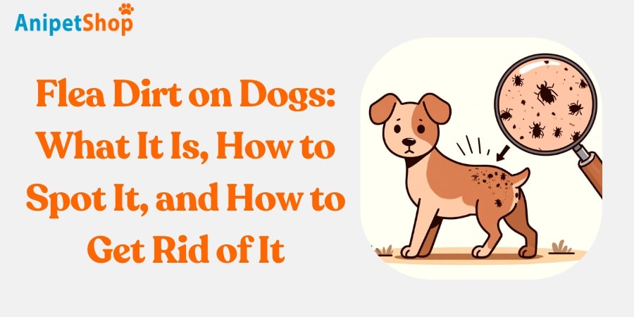 Flea Dirt on Dogs: What It Is, How to Spot It, and How to Get Rid of It