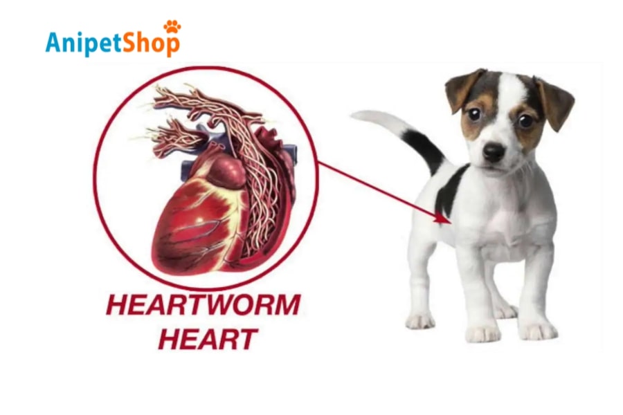 Heartworm disease is fatal to dogs
