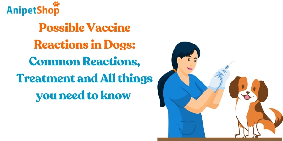 Possible Vaccine Reactions in Dogs