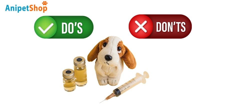 The dos and don'ts after your dog's vaccination