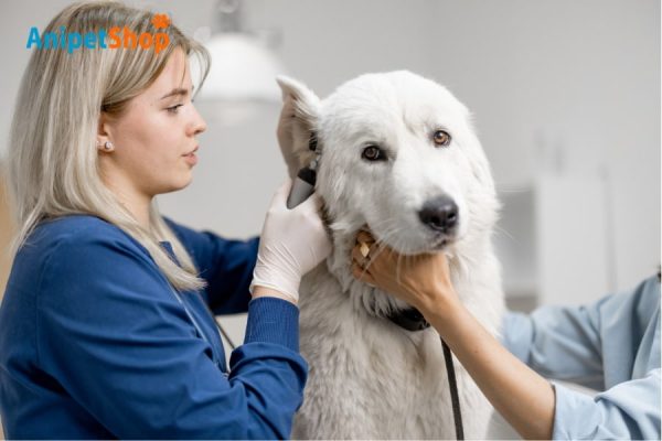 Treatment for flea and tick poisoning