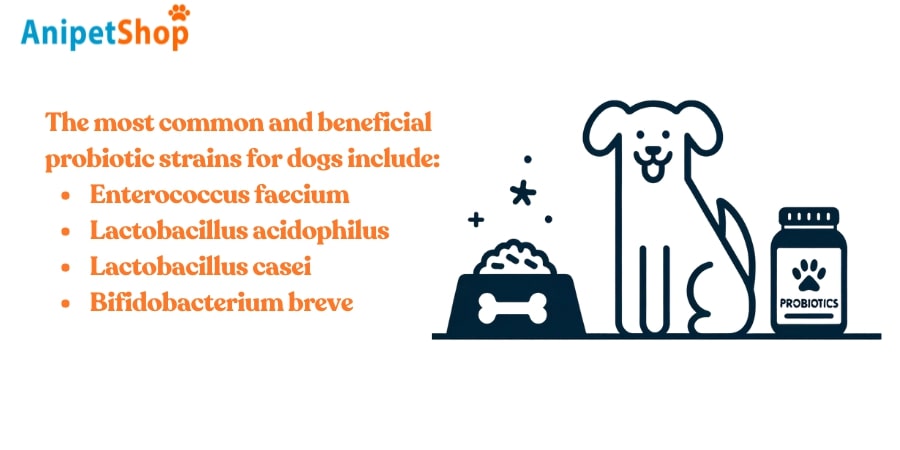 Types of Probiotics for Dogs