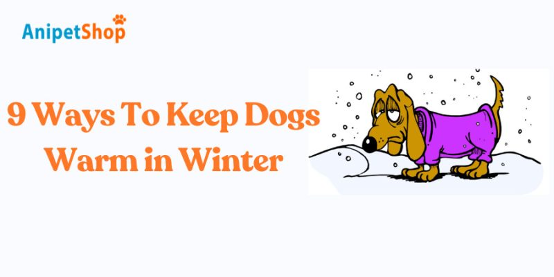 9 Ways To Keep Dogs Warm in Winter