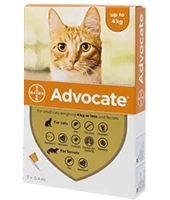 Advocate for Cat Category home-min
