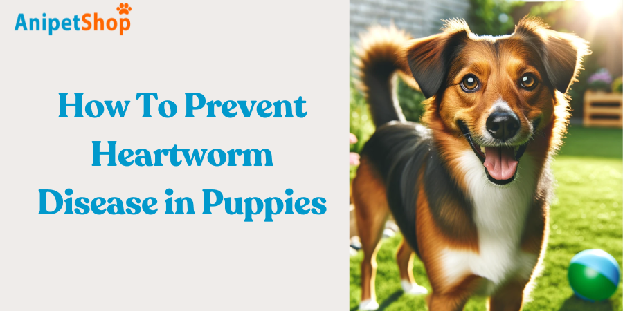 How to Prevent Heartworm Disease in Puppies