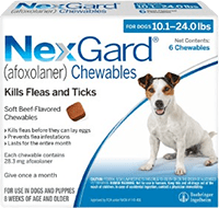 Nexgard Dog Category home