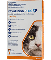 Revolution Plus cat Category Home-min
