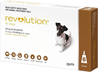 Revolution for Dogs Category Home
