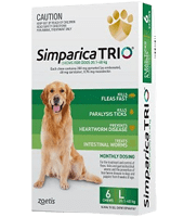 Simparica Trio Category home