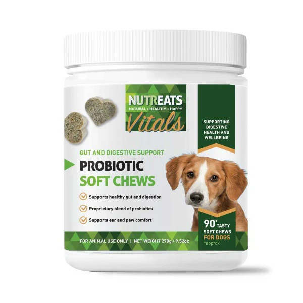 Chewable supplement for dog has Probiotic