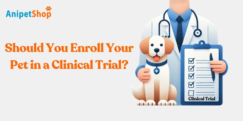 Why Would I Enroll my Pet in a Clinical Trial