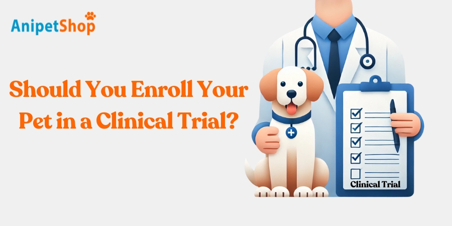 Why Would I Enroll my Pet in a Clinical Trial