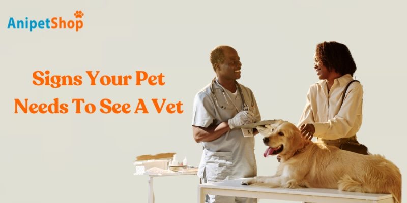 13 Concerning Signs Your Pet Needs a Vet Immediately