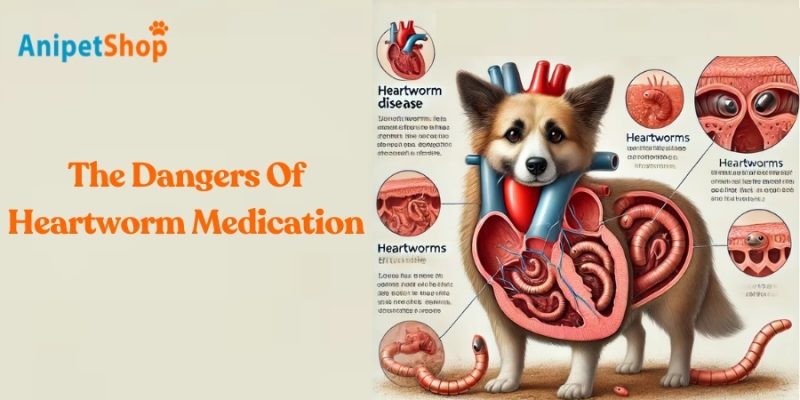 The Dangers Of Heartworm Medication