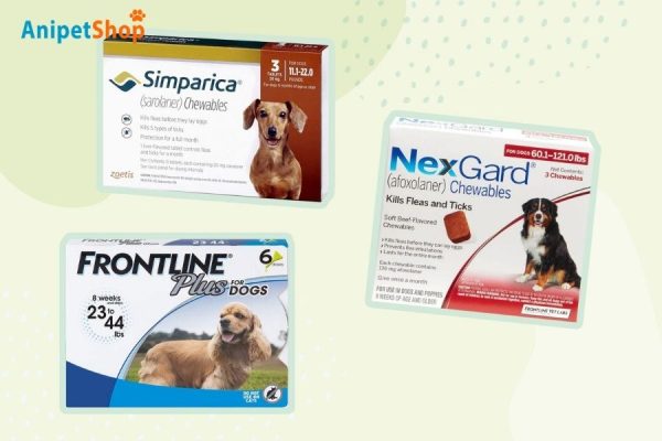 Use medications to prevent fleas and ticks for your dogs