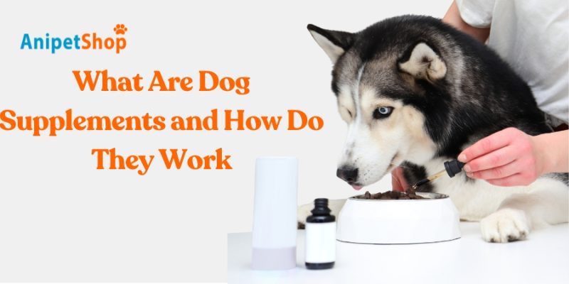 dog supplements and what they do