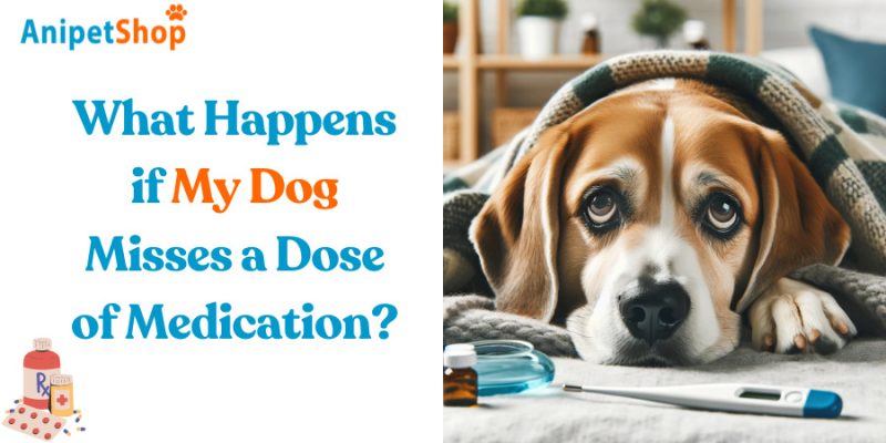 What Happens if My Dog Misses a Dose of Medication?