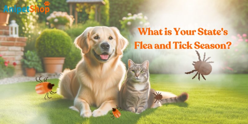 What is Your State's Flea and Tick Season?