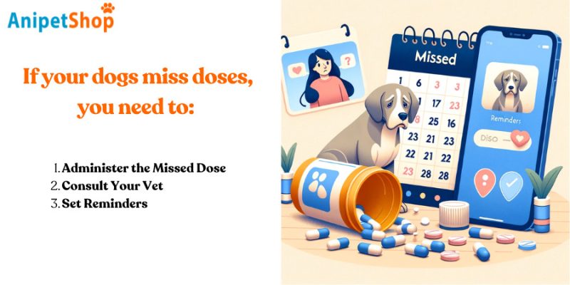 What To Do If Your Dogs  Miss a Dose?