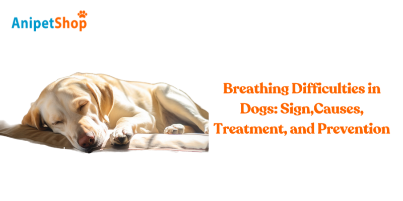 Breathing Difficulties in Dogs: Sign,Causes, Treatment, and Prevention