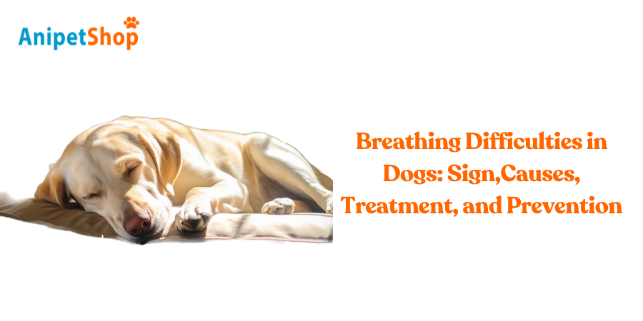 Picture of Addressing Breathing Issues in Dogs
