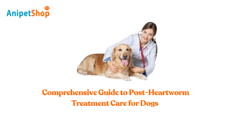 Comprehensive Guide to Post-Heartworm Treatment Care for Dogs