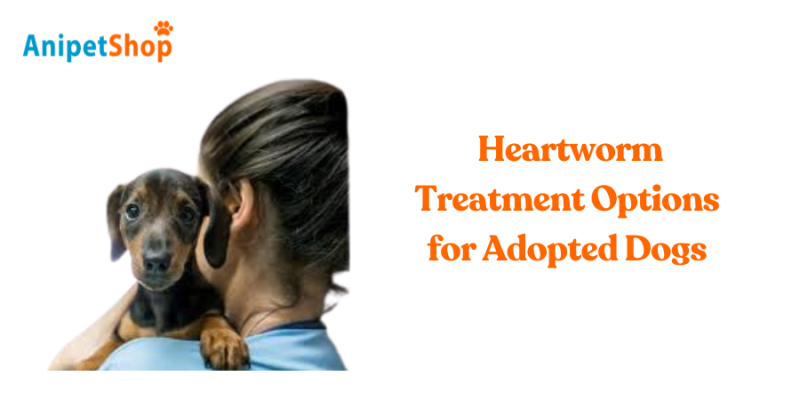 Heartworm Treatment Options for Adopted Dogs