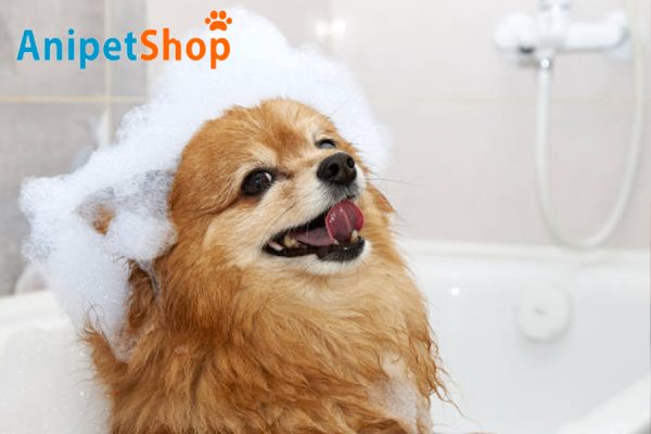 Bathing Your Dog: Tips and Considerations